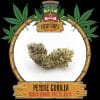 PEYOTE GORILLA